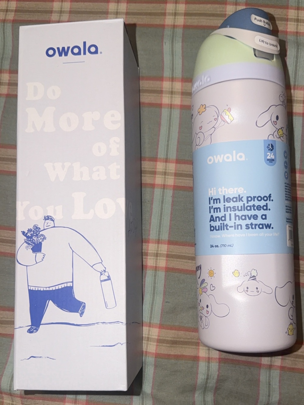owala Cinnamoroll Insulated Bottle in Pastel Purple and Green.